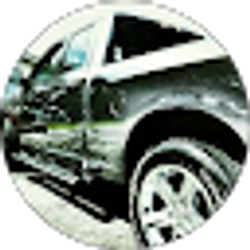 Profile photo of Terry Harrelson