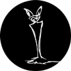 Profile photo of denise ianello