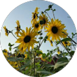 Profile photo of T Earhart