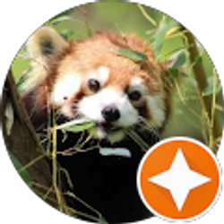 Profile photo of Shellie Davis