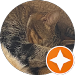 Profile photo of Sue B.