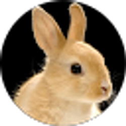 Profile photo of Sara F