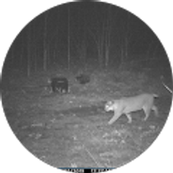 Profile photo of Joseph Droege