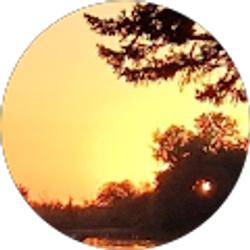 Profile photo of Billijo Shaw