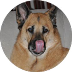 Profile photo of Rica