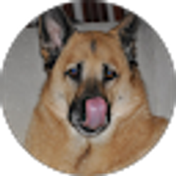 Profile photo of Rica