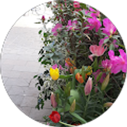 Profile photo of Miriam Alejandra Cardenas