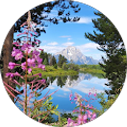 Profile photo of Bart