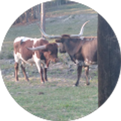 Profile photo of Brandon Cochrane