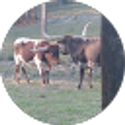 Profile photo of Brandon Cochrane