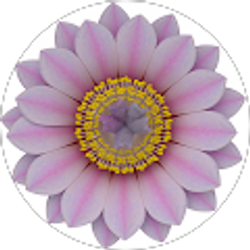 Profile photo of Eli Robbins