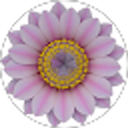 Profile photo of Eli Robbins