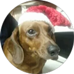 Profile photo of Tony