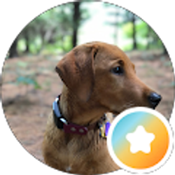 Profile photo of Juli Thomas