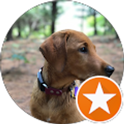 Profile photo of Juli Thomas