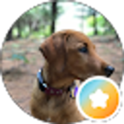 Profile photo of Juli Thomas