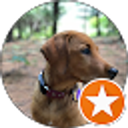 Profile photo of Juli Thomas