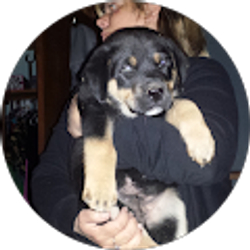 Profile photo of Jason Hilburn