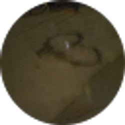Profile photo of Johnathan Hallberg