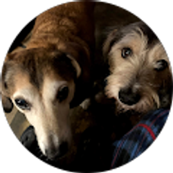 Profile photo of Hector Cuebas