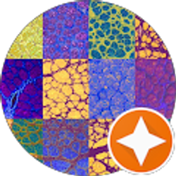 Profile photo of Malea