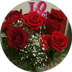 Profile photo of jenny A