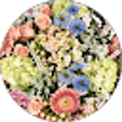 Profile photo of Brina