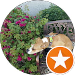 Profile photo of Cary Grimm