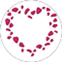 Profile photo of Nimo Aden