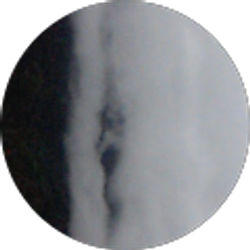 Profile photo of sofia sein