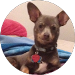 Profile photo of Alex Sagarnaga