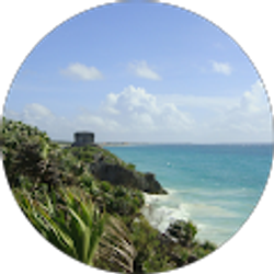 Profile photo of Max Molina