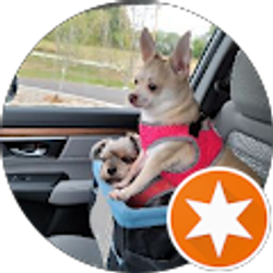 Profile photo of Nadya Revelo