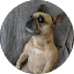 Profile photo of Nick Schaefer