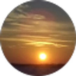 Profile photo of Deb Schultz