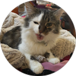 Profile photo of Guard Dog