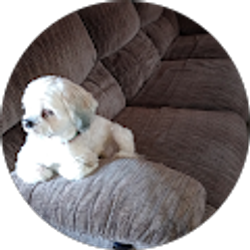 Profile photo of Gina Marie Brusca Kline