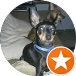 Profile photo of Leland T Jaquay