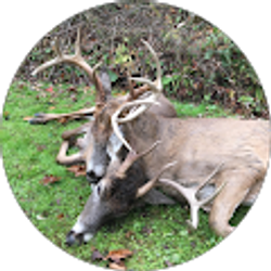 Profile photo of Ohio Ridge Runners