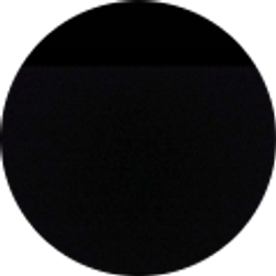 Profile photo of Dylan Odom