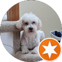 Profile photo of Diego Alvarez