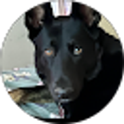 Profile photo of Theodora