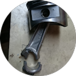 Profile photo of Joseph Niswonger