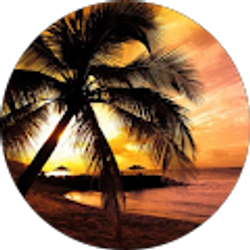 Profile photo of Kelli Little