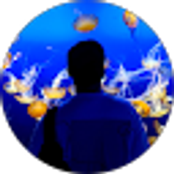 Profile photo of Luis Hernandez Rodriguez
