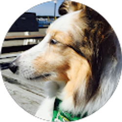 Profile photo of Donna Quatrale