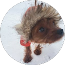 Profile photo of Jennifer Golding