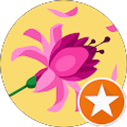 Profile photo of Jackie Bennett-Hayes