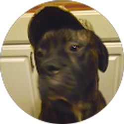 Profile photo of Donna M. Davis-Prusik