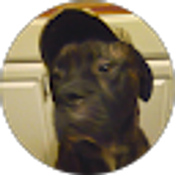 Profile photo of Donna M. Davis-Prusik